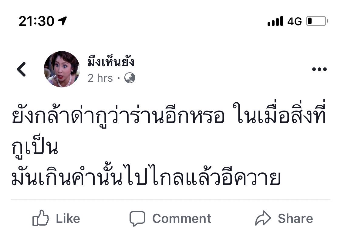Yoyo tweet media
