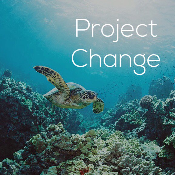 Projectchange4's tweet image. WHO ARE WE? We are simply an organisation helping you to become a more eco-consious consumer #eco #ClimateChange