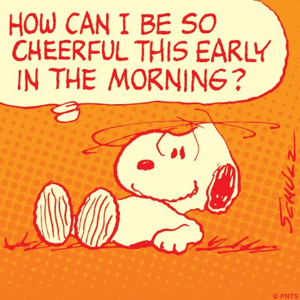 stalbansvan's tweet photo. Did you know that on Monday mornings St Albans Car &amp; Van Hire open at 6am for the return of their vehicles! This is for all the customers that need to shoot off to work etc and need an early start! Call now to book 😁 01727 838151 https://t.co/fPJXqFUEPf
