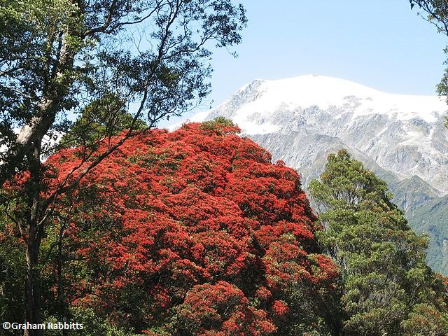 MethodsEcolEvol's tweet image. Ramsey et al. show that #PropensityScore methods can be robust to model #Misspecification and can reduce the likelihood that treatment effects need to be extrapolated.

Read the full #OpenAccess Methods in #Ecology and #Evolution: bit.ly/2Ul0jH3