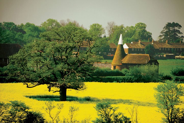 New post (Why choose Kent) has been published on Pavilion Relocation - pavilionrelocation.co.uk/why-choose-ken…