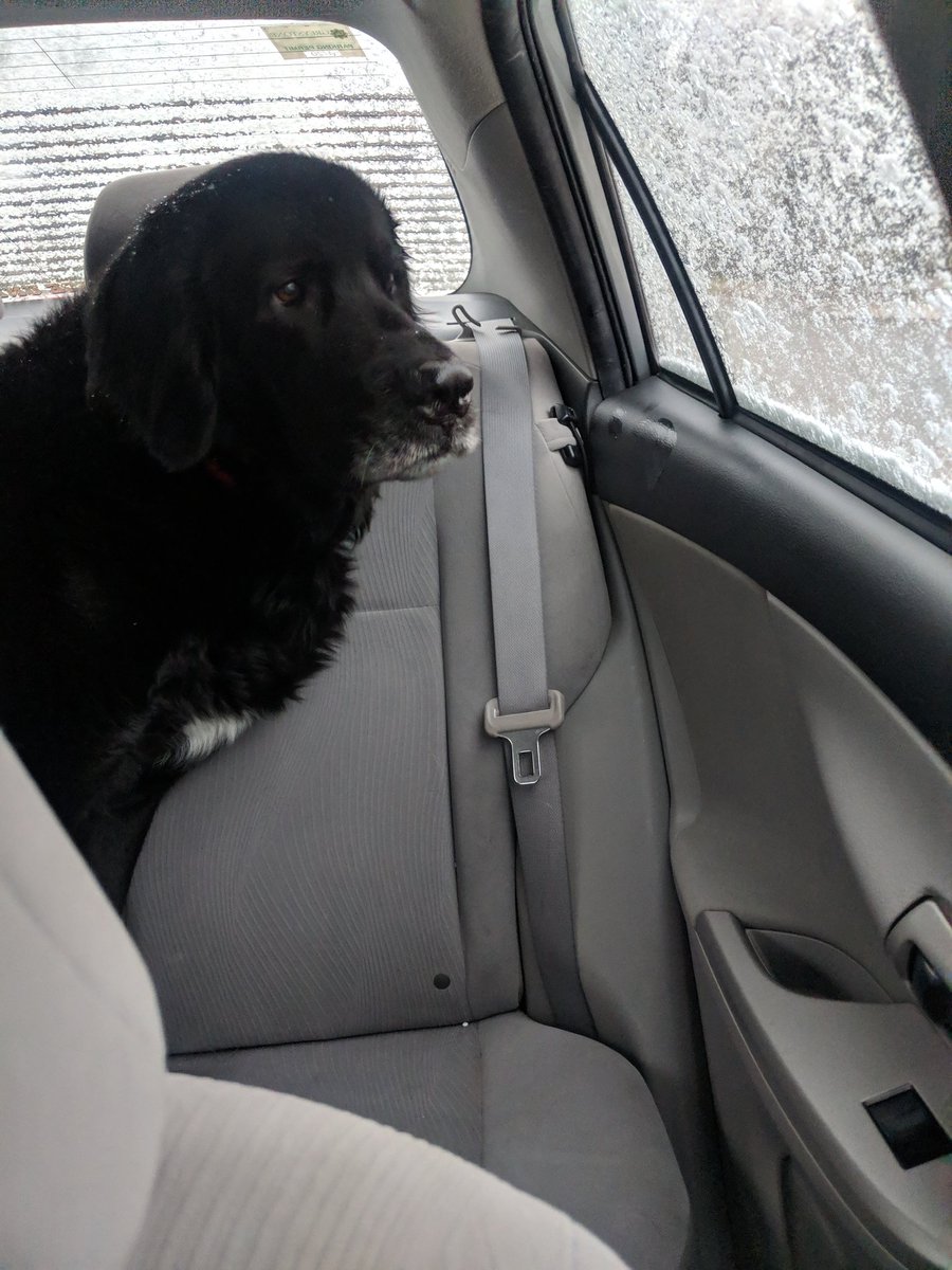 Melanie Kendall (MelanieKendall) Twitter