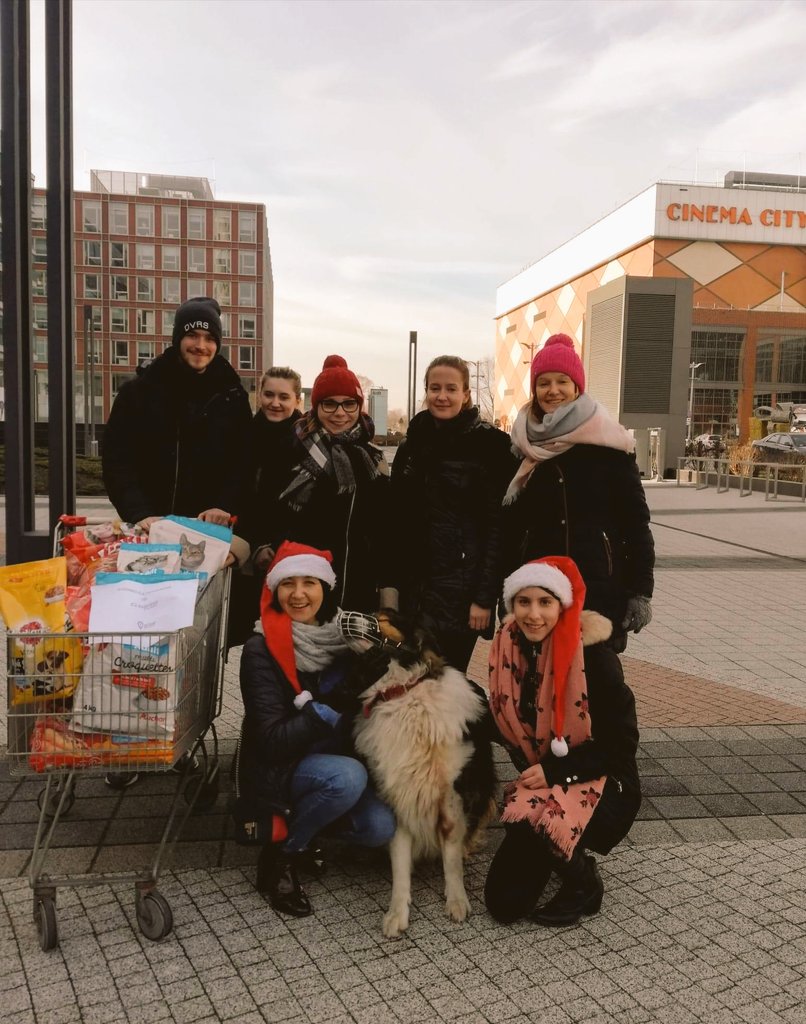 Tak dziś świętujemy 🎅 Wraz z Wuko 🐕 u naszego klienta <a href="/B4BKrakow/">BonarkaforBusiness</a> wraz z pracownikami kompleksu zbieraliśmy karmę dla schroniska dla bezpańskivh zwierzaków #Mikołajki #Mikołaj #prezenty