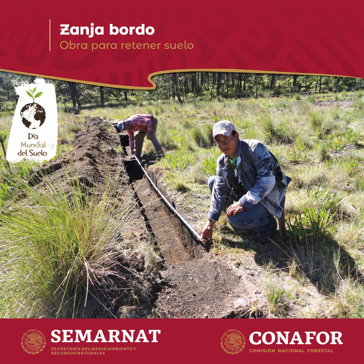 CONAFOR's tweet photo. #FelizJueves Con el Programa #PRONAFOR apoyamos la recuperación de la capacidad y el potencial natural de suelos forestales y cobertura forestal en condiciones de deterioro. 🌳✅🌱🤓Con estos recursos se realizan diversas acciones como la construcción de zanjas bordo. 👨🏽🌾⛏️💧🌱 https://t.co/ox5wMcc7JV