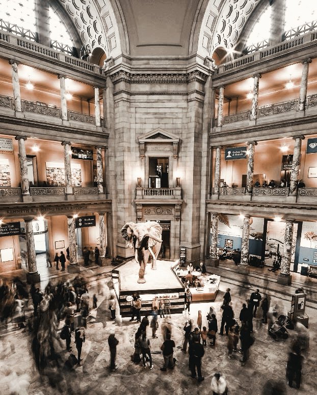 goobyjeons's tweet photo. 🍂| taekook au | all taehyung wants for his bday is to go to the smithsonian museums &amp; none of his friends can do it. after complaining to his online gaming buddy (jeongguk) about what’s happening, guk plans a trip for the two of them to go &amp; meet (&amp; see) e/o for the first time https://t.co/8PLpqRVS3O