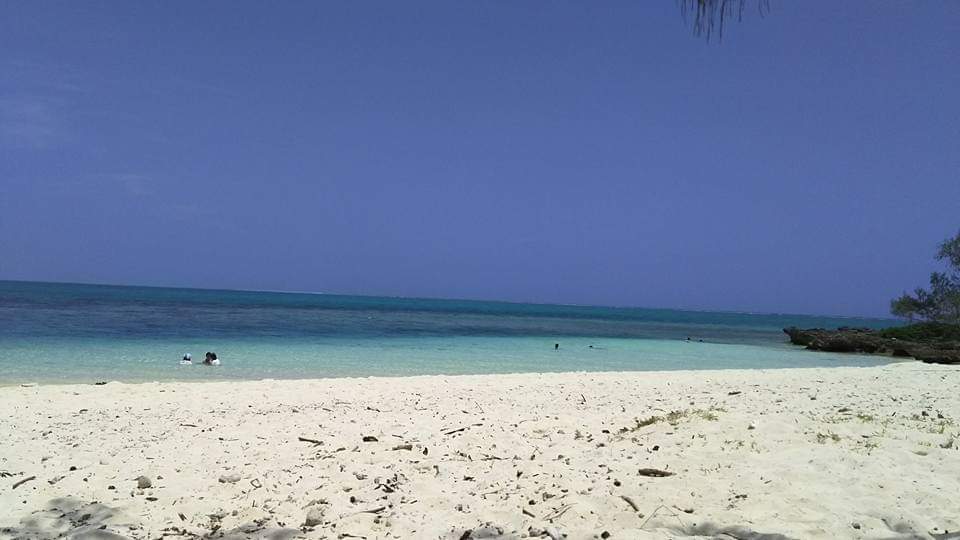 travel100world's tweet photo. 「メトル島の水上コテージ」 ニューカレドニアの水上コテージがある島です。砂は白くサラサラしていました。乾季の2月に行ったので快晴でした。空、海、砂はまさに天国の島です。https://t.co/8KPRoivFt3