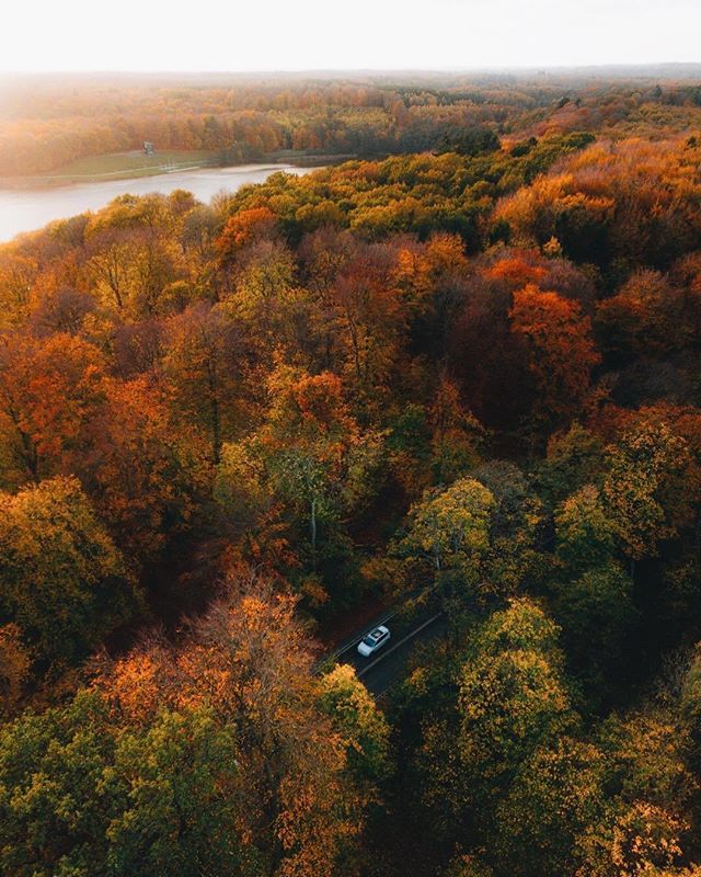 lauge.ef captured the stunning nature around #BagsværdSø on one of those crisp winter days.
.
Thanks for letting us share your #greatercopenhagen moment lauge.ef 🙏
.
#visitdenmark #denmark #treetops #lake #treestagram #nature #travelanddestinations #instravel #discover_vacation