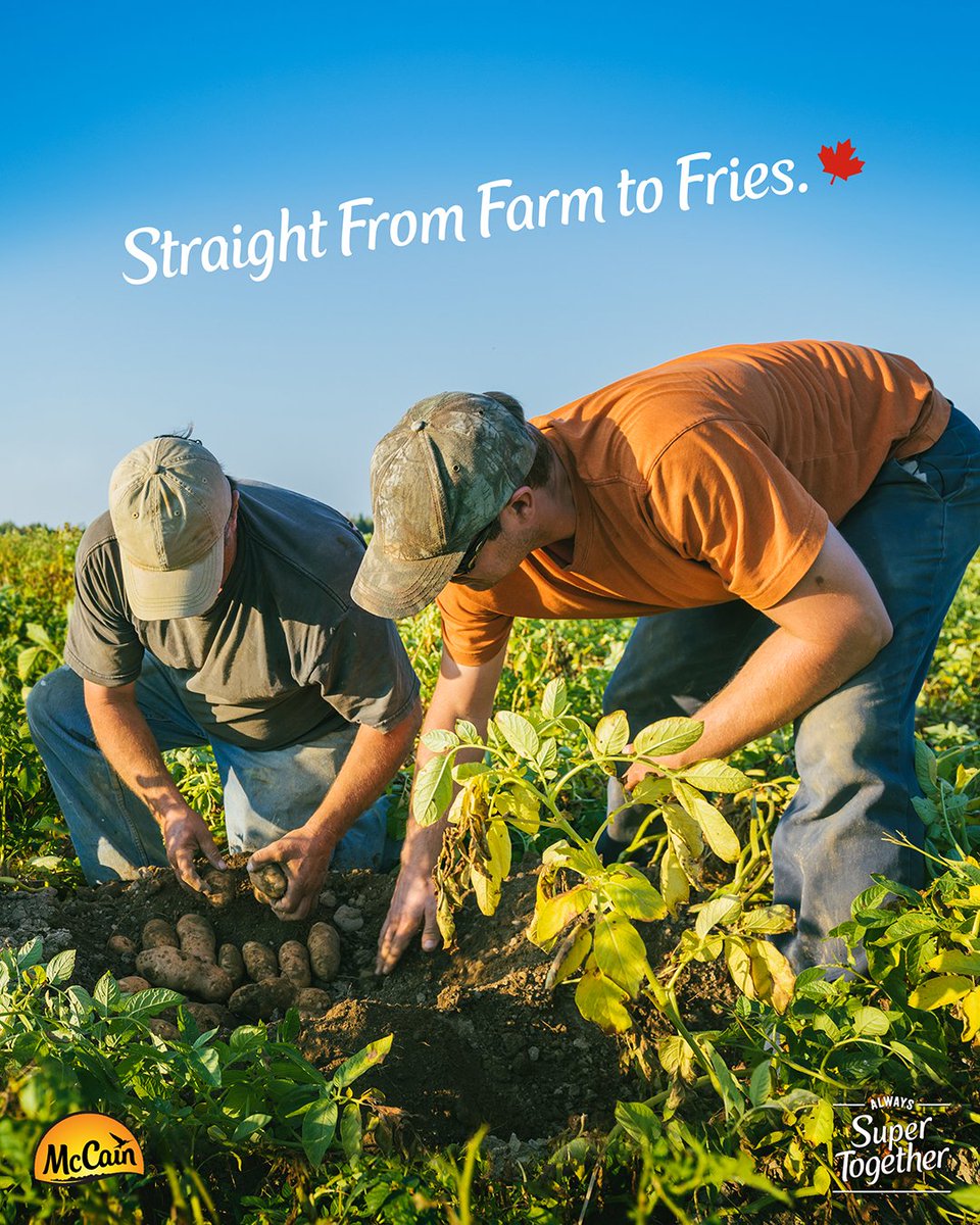 Canada's favourite fries start with one simple ingredient - real, wholesome potatoes brought to you by proud Canadian growers.
To learn more visit: mccain.ca
