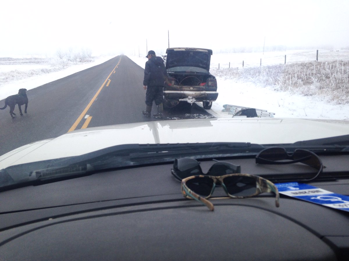 SaskPower's tweet image. Do you know the man in this photo? Or his car? He's suspected of stealing copper grounding wire from a pole outside of Melville on Hwy 47. This created a danger by risking electrifying the area by the pole. If you know him, call us at 306-519-9343. #SkPowerSafe #CrimeStoppers
