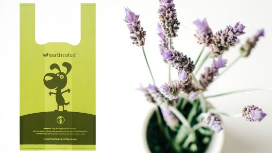 olivegreendog's tweet image. Airline travel with a dog - making the skies friendly for your pup.  Bring along scented poo bags with handles for easy cleanup along the way. goo.gl/vS56M1 #dog #travelwithdog #flydog #Airline