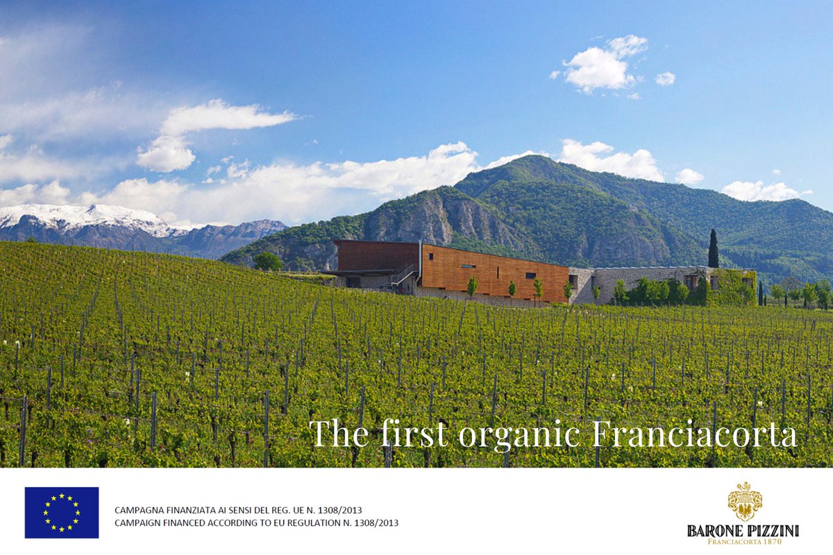 PizziniBlog's tweet image. The cellar represents a will to reduce #environmental impact and maximize energy savings.