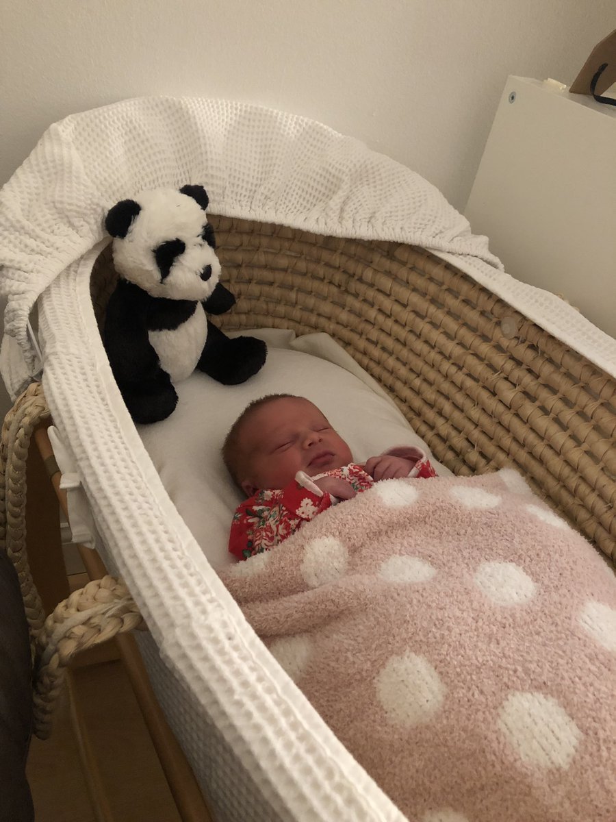 David Law tweet media