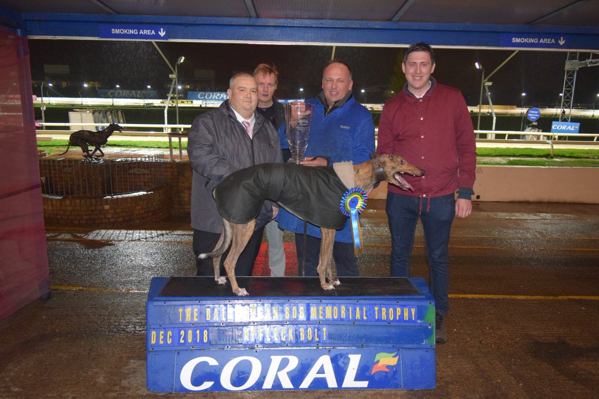 HoveGreyhounds's tweet photo. Huge congratulations to Affleck Bolt, Winner of the 2018 Ballyregan Bob Memorial Trophy and £1000 prize money! Presented by our Stadium Manager @HoveDogs_Brian
#winner #ballyreganbob #memorial #hovedogs #greyhoundracing https://t.co/Pgyl7mZayF