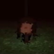 ProjectKyle100's tweet photo. #NewProfilePic https://t.co/AdPw7KgXSA
