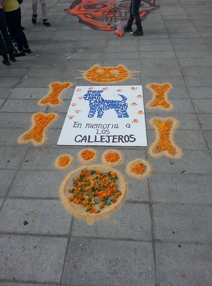 Pwerritos's tweet photo. En memoria de todos esos angelitos https://t.co/qE9WAGMpVb