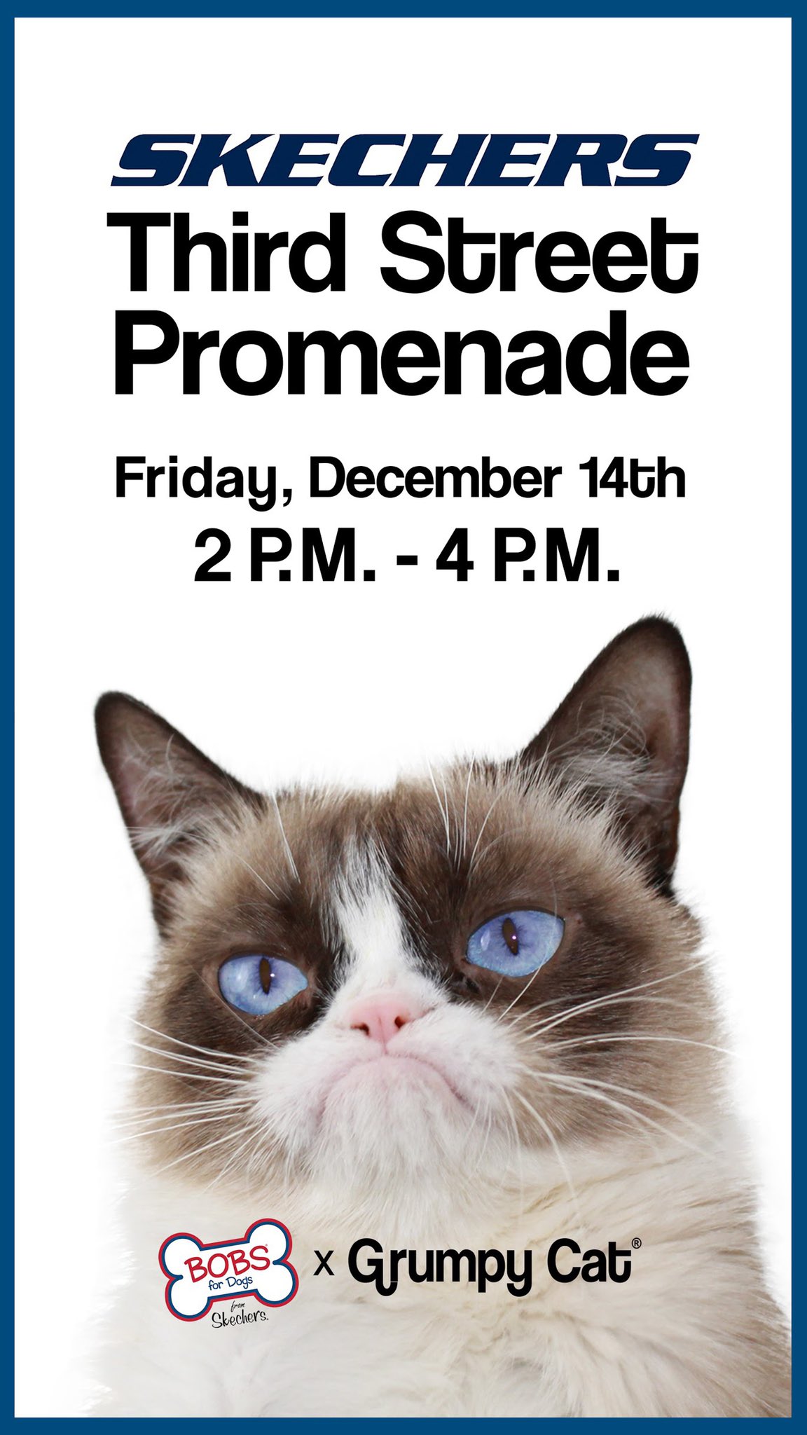 skechers 3rd street promenade