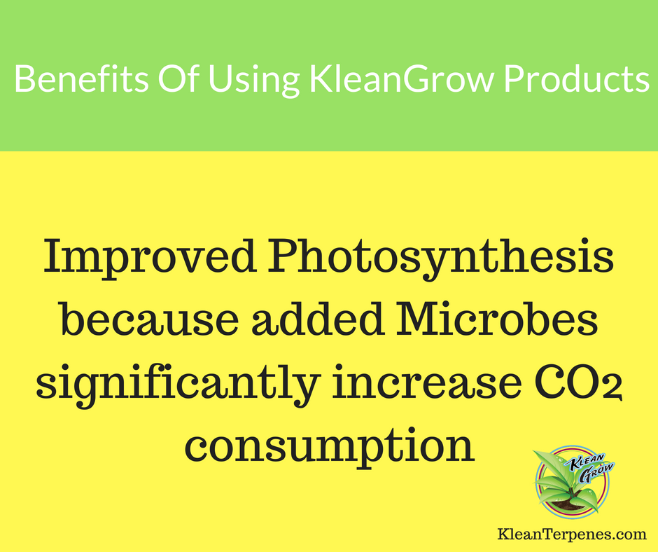 KleanTerpenes's tweet photo. Learn more about our products and shop @ https://t.co/CrrewthzRL #PlantNutrition #PlantNutrients #SoilQuality #Nitrogen #Microbes #MicrobialFertilizer #OrganicGrowing #BioMass #Spores #Soil #Crop #Organic #Soilconditioner #Plants #Farmer #KleanTerpenes #KleanGrow https://t.co/6lSHRZhfsP