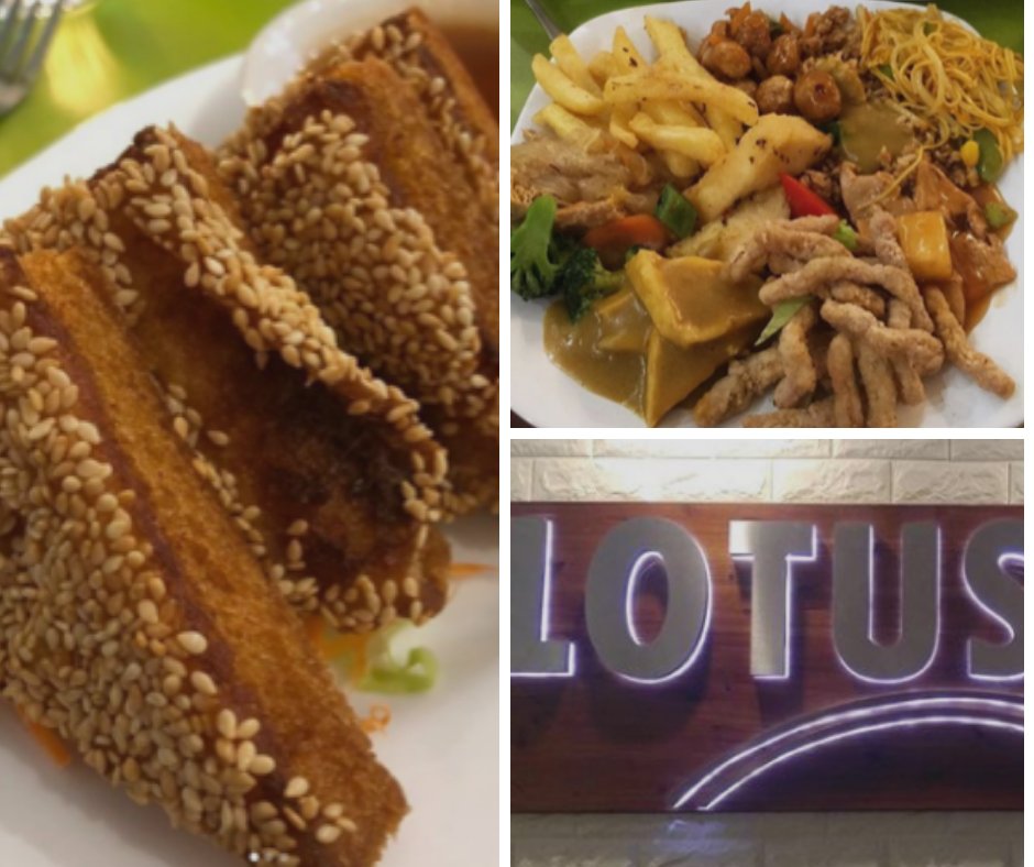 VGN_Connections's tweet photo. Exciting update on our charity tombola for the Glasgow Winter Night Shelter at the Vegan Connections Christmas Market:
Lotus Vegetarian Cuisine Glasgow have kindly offered £30 vouchers for three lucky ticket winners! #VCxmas https://t.co/L4JZlFymS8