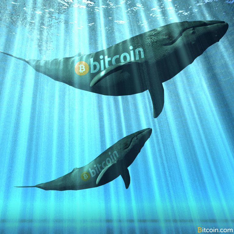 BitcoinNews's tweet photo. Previously Inactive Whales Are Moving Large Amounts of BTC https://t.co/xgxiupJPbH https://t.co/CYYSet4jgF