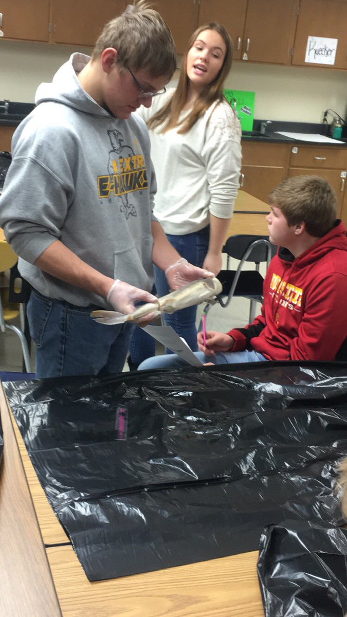eburg_ffa's tweet photo. Dissecting Sharks in Wildlife and Fisheries!
#ehawkpride https://t.co/9VwwcK2eYZ