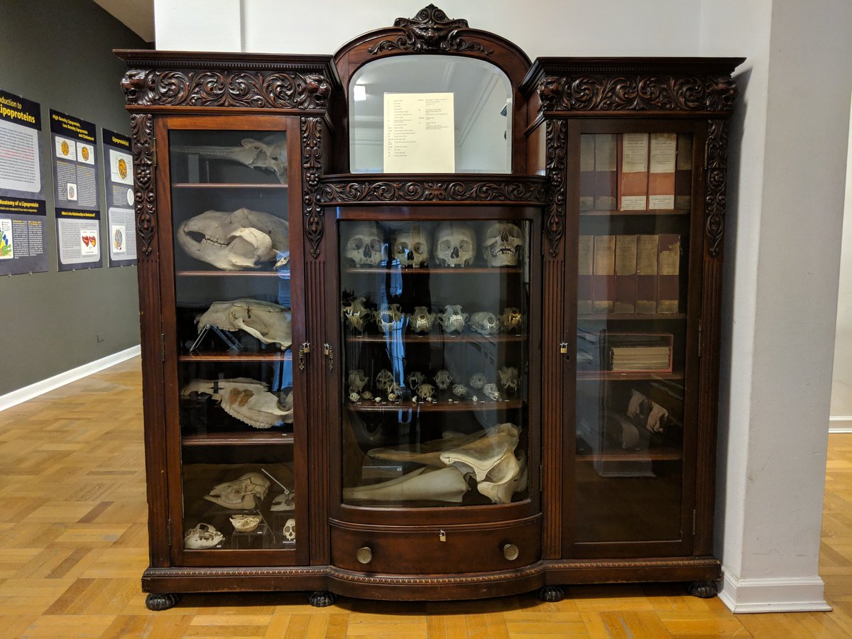 KybeleCPH's tweet photo. . @IMSS_Chicago straight up nailing my interior design aesthetic https://t.co/AcFFYoXBzW