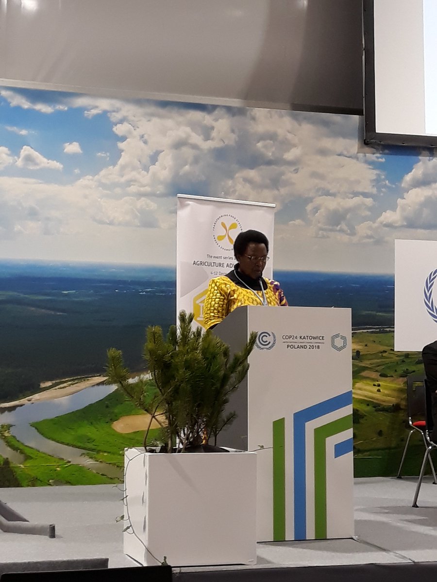 CGIAR Climate Action tweet media