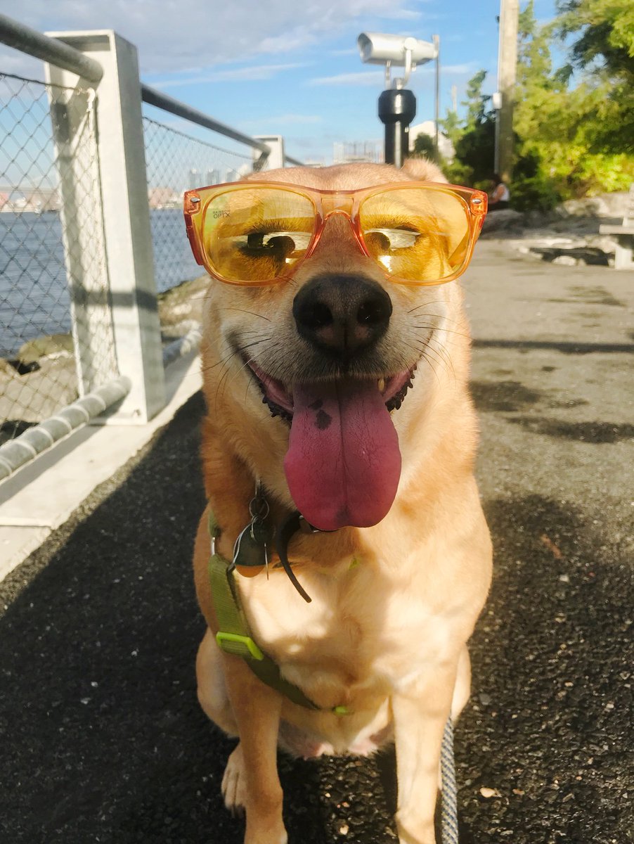 drew beck tweet media