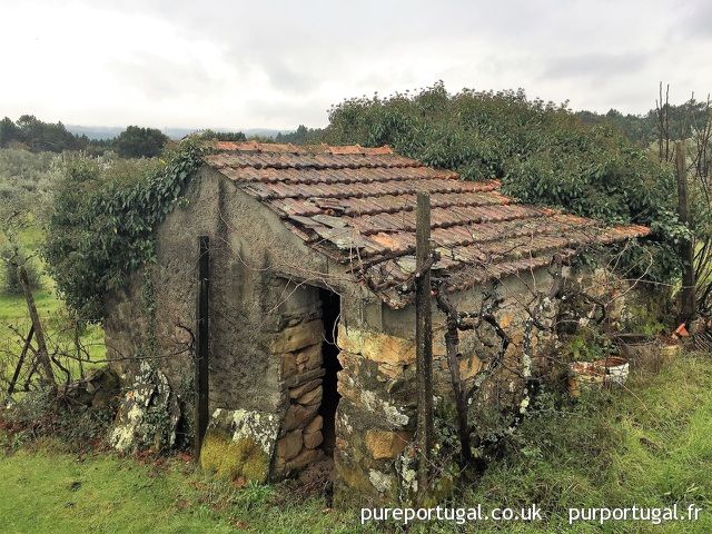 PurPortugal's tweet photo. FVS35: Terreno com Projeto https://t.co/EFUvHMKp33 Projet approuvé pour conversion d’une ruine en grande maison de 5CH &amp; isolation en liège portugais. Terrain de 2,859m2 avec arbres fruitiers &amp; oliviers au bord d’un lac #PedrogaoGrande #Portugal https://t.co/tXlVzZXRI4
