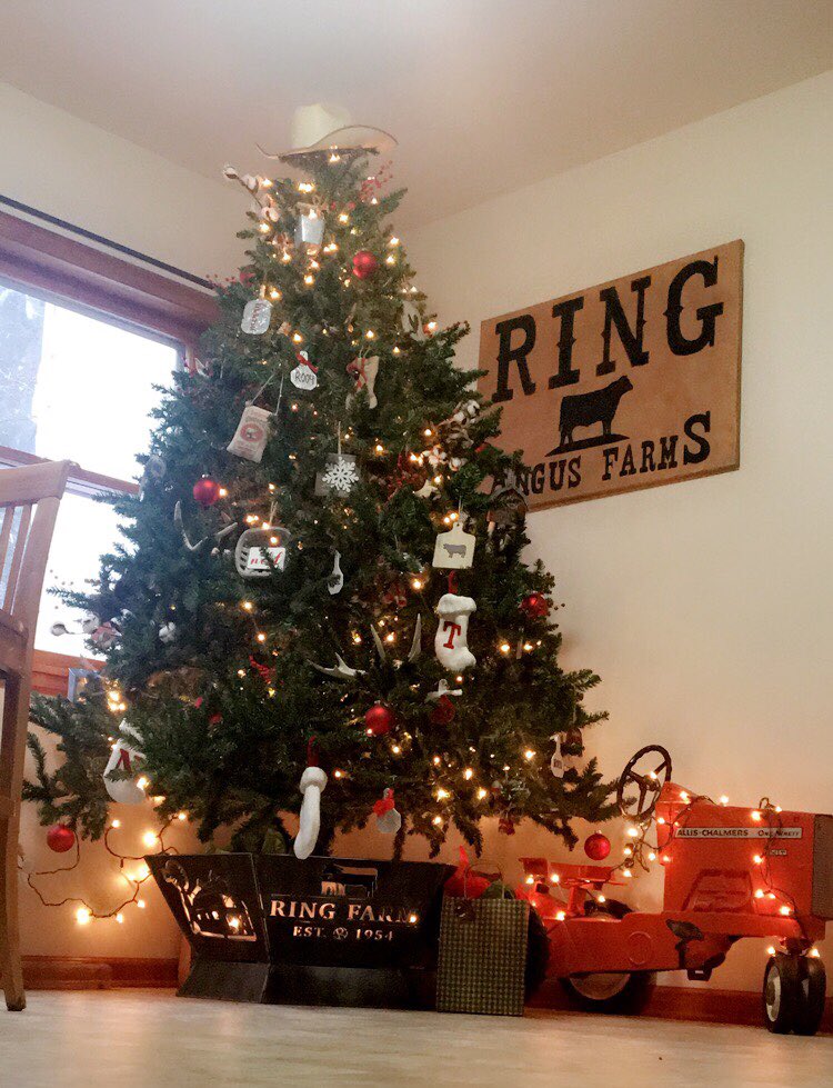 NicholeMLicht tweet media