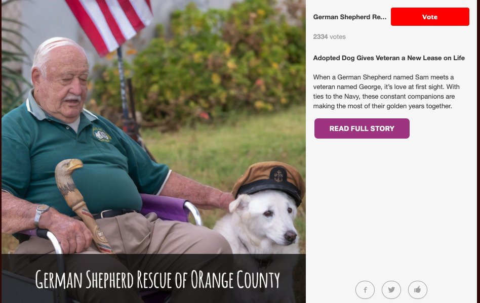 2April4's tweet photo. @PauleyP Pls Vote for us and George as the People's Choice. German Shepherd Rescue @gsroc is in the running to receive a $25,000 grant based on a story from 93-yr. old George Johnson-decorated Navy Vet, WWII, Korea and Vietnam.  See the story. https://t.co/H3DlBb1QeR … https://t.co/DPV4jMclLN