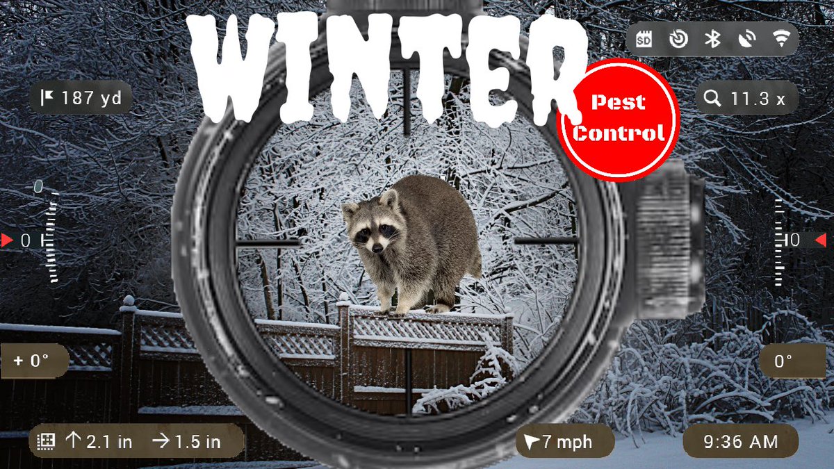 EdgunL's tweet photo. Introducing “pellet vision” in vol 4 of the winter pest control series... check it out and let me know 👍👎 https://t.co/4XLl9TT3pg
#edgun #hunting #peatcontrol #pelletgun #airgun #edc https://t.co/KPI9zXdGgu