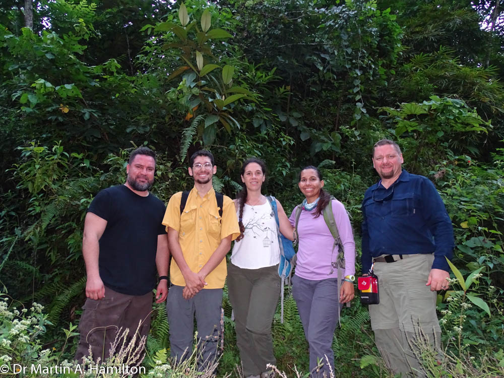 DocMartinKew's tweet photo. Thanks to all that contributed time/expertise toward Varronia bellonis project! Expanded species range, made new observations & developed ex-situ collections. I feel privileged to work alongside dedicated team in incredible Puerto Rican forests! #KewPR @KewUKOTs @KewScience https://t.co/WQSy1PgPjM
