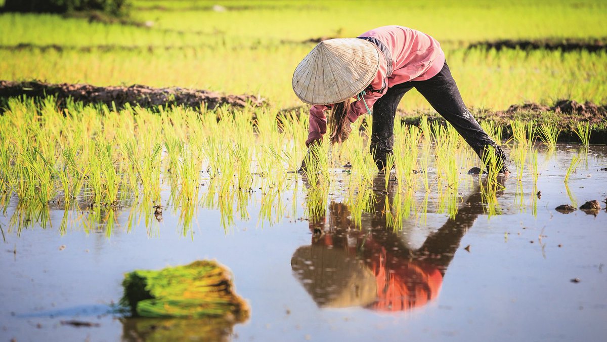 Telligo's tweet image. 