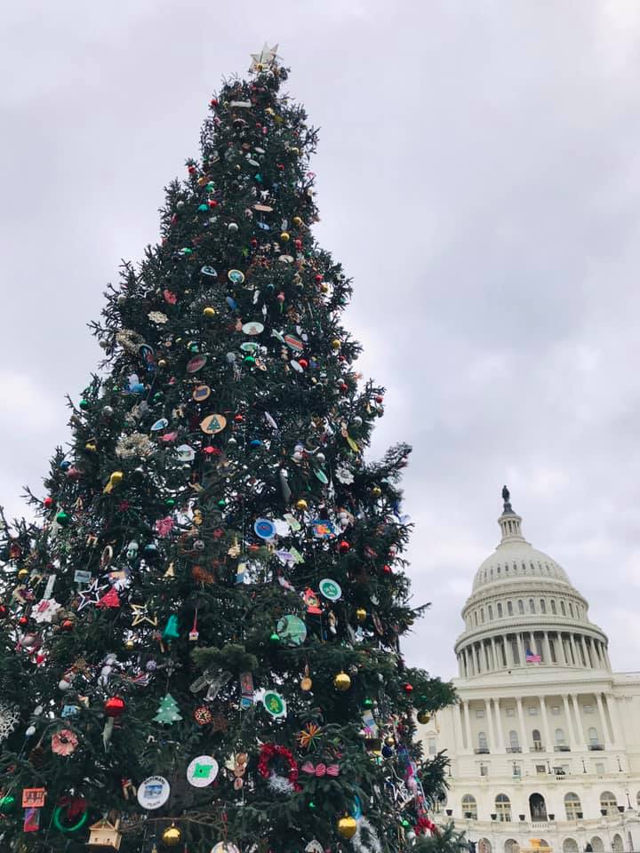 NTSA50's tweet photo. The lighting of the U.S. Capitol Christmas Tree is scheduled for 5:30 pm eastern time tonight. This year the tree's ornaments included a tribute to the 50th Anniversary of the National Trails Act. #FindYourTrail @USCapitolTree https://t.co/PmNdoLUlAL