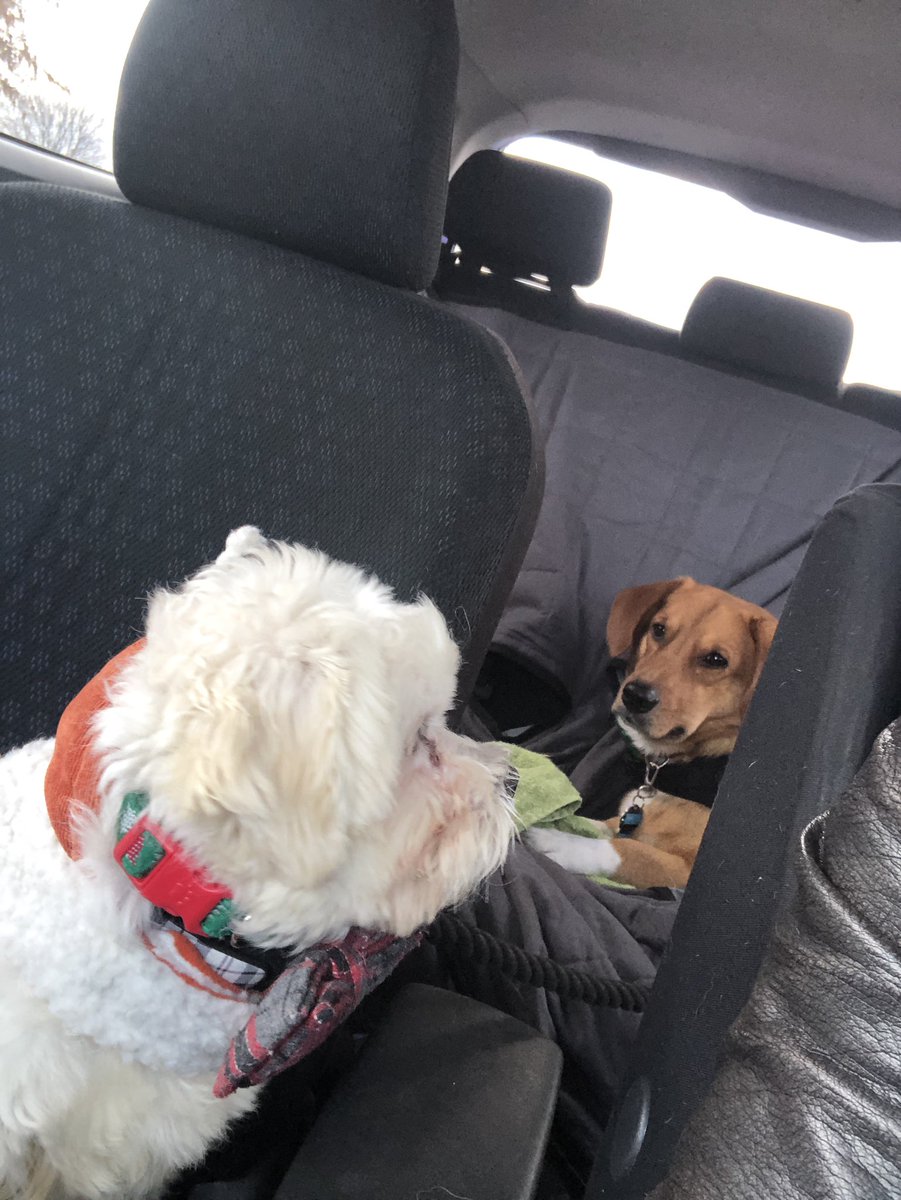 SoloDarling's tweet photo. I just asked team #PeanutButterFluff if they want to get HYPED...turn on the radio and “You Give Love a Bad Name” comes on...our life is a sitcom #PBF #DarlingFarm #HIMYM #Track1 #NYE https://t.co/Bv9MMCvZpe