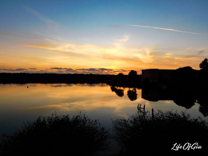 GiuliaVillani95's tweet photo. https://t.co/ObziiDcZNK

A special #sunset 🌅 

#landscape #Nikon #Italy https://t.co/0wHc63e9xx