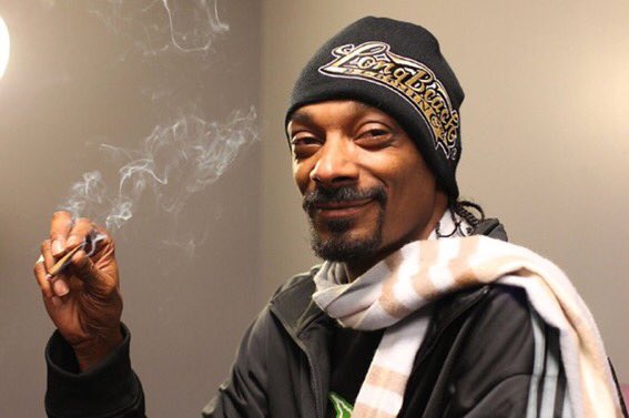 Naija_Hokage's tweet photo. Say I wanted to buy some weed, but I didn't buy the weed, and I didn't want to buy weed, but bought the weed; would the weed which I bought but didn't want to buy take me higher than the weed I wanted to buy but didn't buy since I knew I didn't want to buy, but bought?
#kushtalk https://t.co/rTbAcerPWu