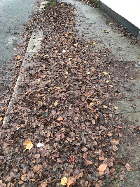 RoadHavelock's tweet photo. @VeoliaUK  Some pictures of my street. Havelock Rd SW19. I understand you are contracted by @Merton_Council  Are you recruiting more cleaners? https://t.co/56st84kB3r