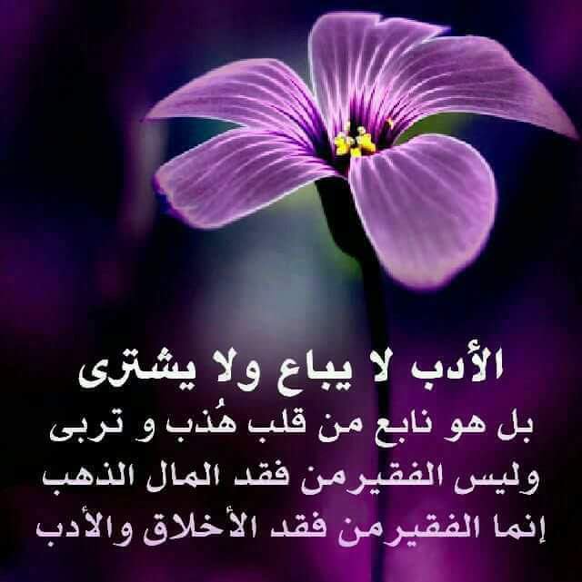 عن الإمام الصادق ع من عرف الله خاف الله ومن خاف الله سخت نفسه عن الدنيا