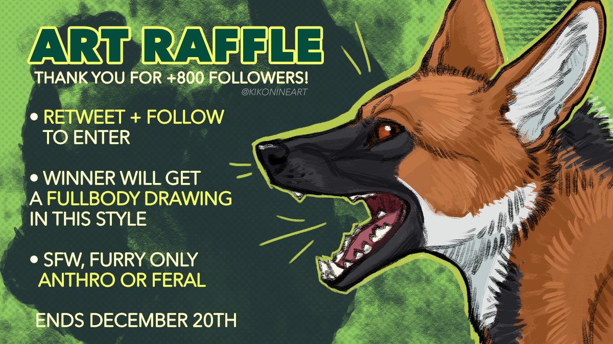 KikonineArt's tweet photo. You know what time it is!
⭐️800 FOLLOWERS ART RAFFLE !! ⭐️
Winner will get a FULLBODY DRAWING of their character (anthro or feral).

- Retweet &amp; Follow to Enter
- If this post hits +500 Retweets, I'll draw a second winner!
- Ends December 20th [2 weeks from now!] https://t.co/s7tMPgTDUe