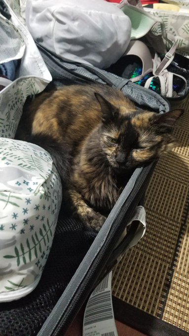 @dandjservice @fluff https://t.co/Gns8ZYsb8N<a class="tags" target="_blank" title="On Twitter" href="/?out=eyJ0eXAiOiJKV1QiLCJhbGciOiJIUzUxMiJ9.eyJpYXQiOjE3MjE2MTU5NDgsImlzcyI6InR3cG9ybnN0YXJzLmNvbSIsIm5iZiI6MTcyMTYxNTk0OCwiZXhwIjoxNzUzMTUxOTQ4LCJyZWRpcmVjdF91cmwiOiJodHRwczovL3R3aXR0ZXIuY29tL2RhbmRqc2VydmljZSJ9.o5Z3IWquiBUeMvDG5r86B7PNSqsOFJtPPbKRHRxeX42YfeN1GOFXY6KbuX3bReK6MhMHiuFgTIXN7yj0jruDtw">@dandjservice</a><a class="tags" target="_blank" title="On Twitter" href="/?out=eyJ0eXAiOiJKV1QiLCJhbGciOiJIUzUxMiJ9.eyJpYXQiOjE3MjE2MTU5NDgsImlzcyI6InR3cG9ybnN0YXJzLmNvbSIsIm5iZiI6MTcyMTYxNTk0OCwiZXhwIjoxNzUzMTUxOTQ4LCJyZWRpcmVjdF91cmwiOiJodHRwczovL3R3aXR0ZXIuY29tL2ZsdWZmIn0.F-XLQZySAA1TvP5UjoRod0EmXKDZxIAMkTVR493w4jMp8cTXgWj1M9Z0xnkkKZBQyVZmCUR2gJ2Vj3BkFt4xbw">@fluff</a>