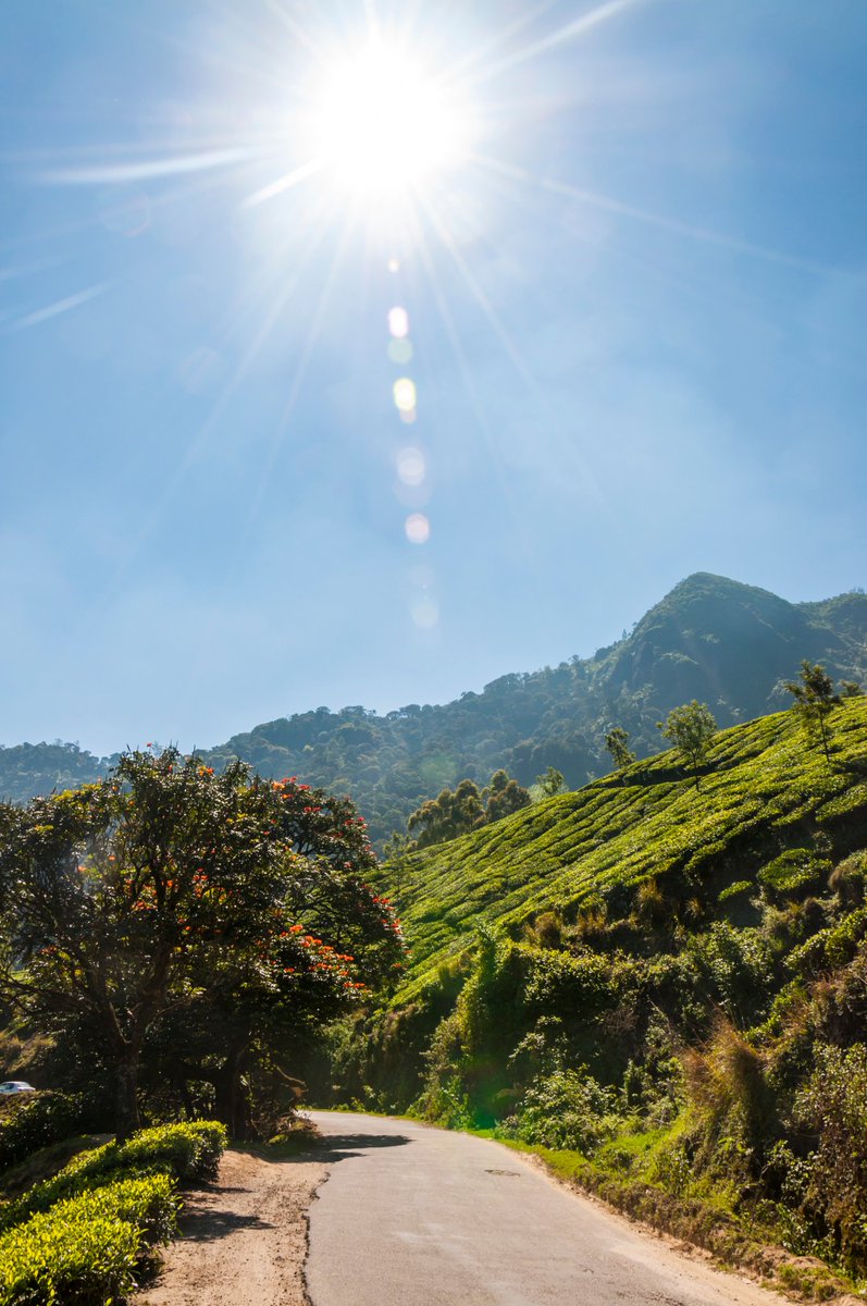 IndiaHitchhiker's tweet photo. Beautiful #Munnar #kerala..  Stunning #nature.. Beautiful #mountains.. It's amazing experience for a #Backpacker  Travel #india.. 
Pic: #KeralaTourism 
@Sostraveluk @nerd_backpack @BLbackpackers @Back_in_America @backpackmum1 @jenandmeltravel @FolderRed @wearewunders @suziday123 https://t.co/9reiQVRyft