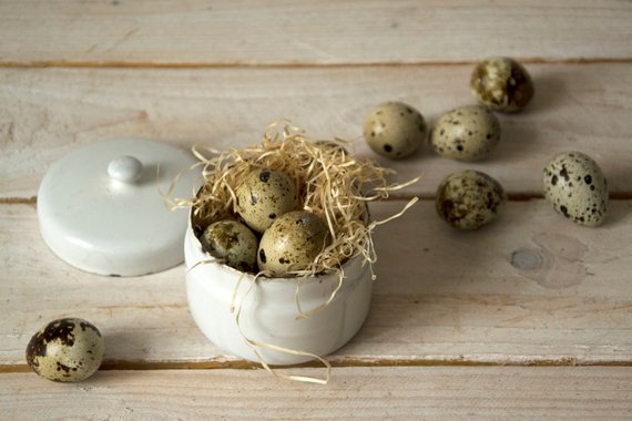 TallinnVintage's tweet photo. Vintage enamel dish with lid, Lidded enamel bowl, Enamel container, Enamel vessel, Soap dish, Enamel bowl with lid, Enamel tableware #SoapContainer #VintageDish
€28.00
➤ https://t.co/9NKzait16b https://t.co/sqA8wmTEKC