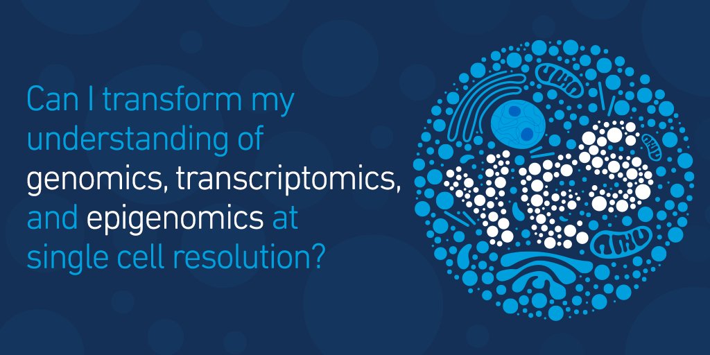 10xGenomics's tweet photo. Characterize hundreds to tens of thousands of single cells, without the need for pre-selected cell types or markers, using @10xgenomics comprehensive and scalable #singlecell solutions https://t.co/ALj5bGJORW #cellyes https://t.co/I2DvMi7Bdt