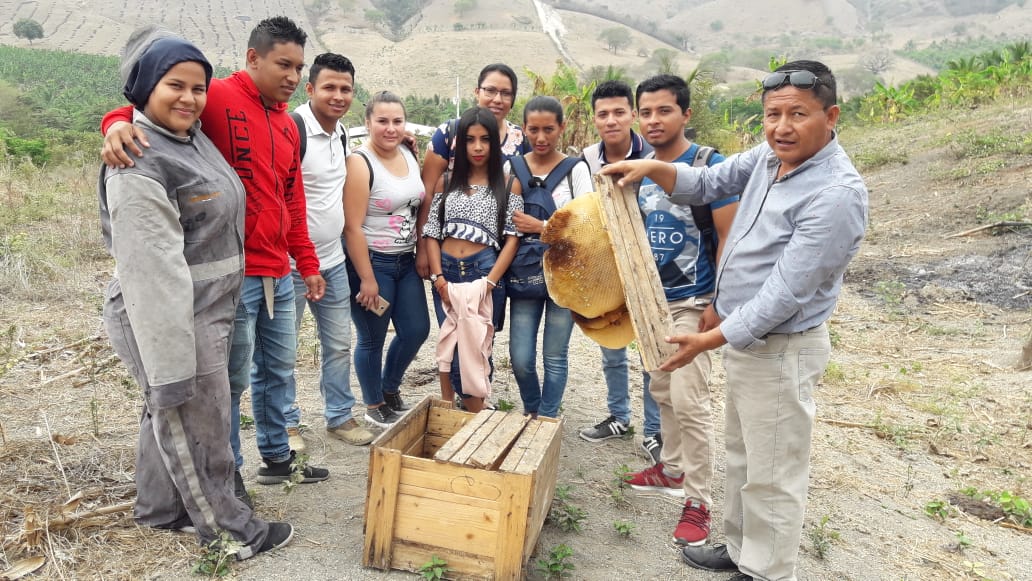 ISTPEM1's tweet photo. Estudiantes III Agro reciben clase práctica de reconocimiento de tipos de apiarios e instalación de lo mismo https://t.co/7G4WcRaOTr