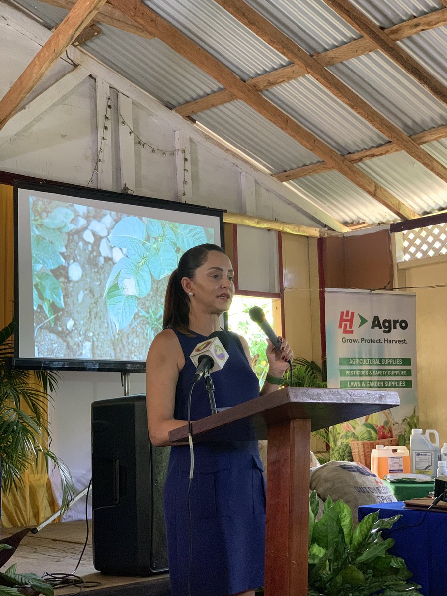 annmarievazja's tweet photo. Current Situation SDC’s Conference of the  #PortlandCommunity Development Committees. Happy to be here as community development is the cornerstone for all I do as #Caretaker for #EastPortland 🇯🇲🙏🏼 https://t.co/HDwE8hbO71