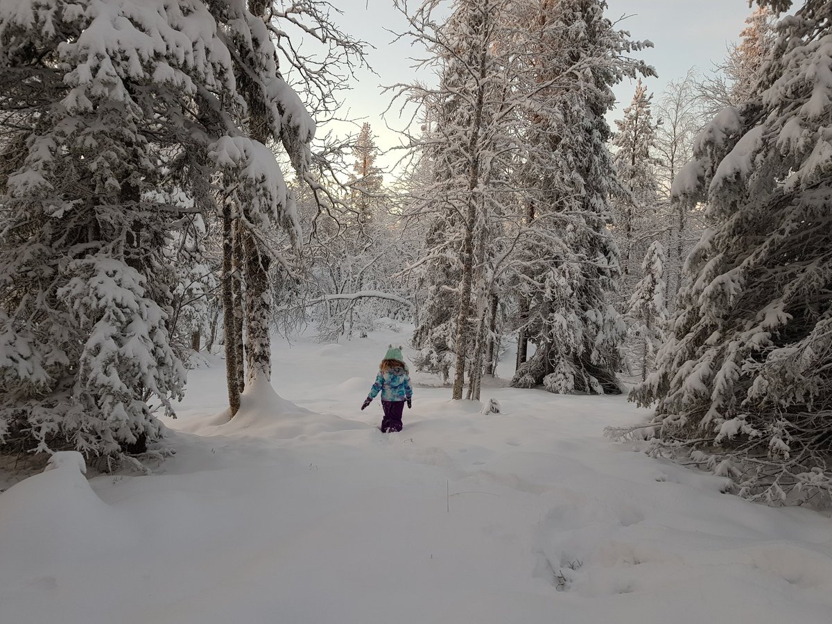 Mummytravels's tweet photo. We may just have found Narnia today... forget wardrobes, you just need an @InghamsSki #santabreak to Finnish Lapland. #ad So my daughter believes anyway as we scrambled up snowy slopes and past ice coated trees. Looks like the middle of nowhere but right by Levi Panorama hotel! https://t.co/Ojy86pZgZb