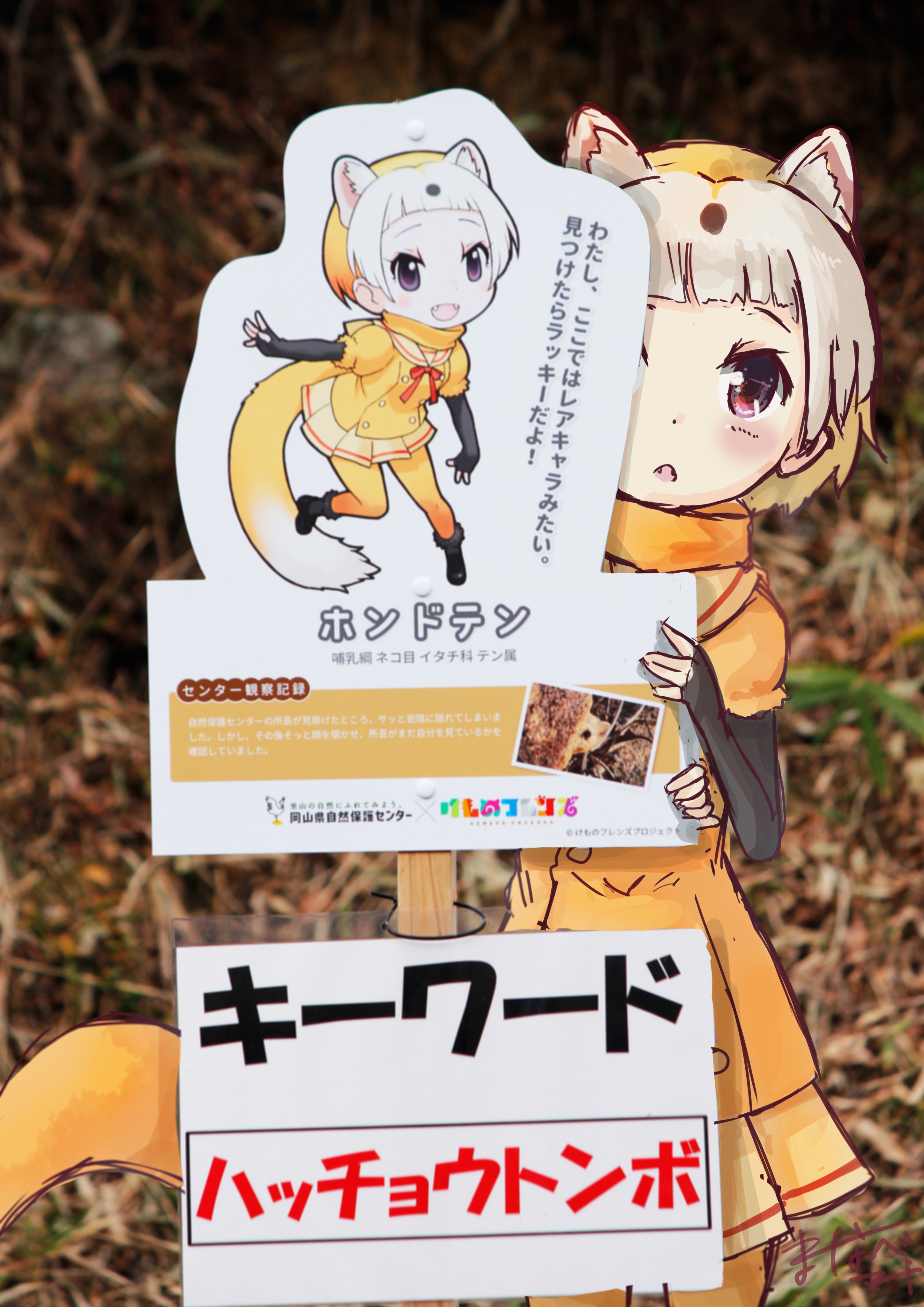 愛辺マナ Skeb停止中 岡山県自然保護センターで出会ったホンドテンちゃん けものフレンズ 岡山県自然保護センター T Co Enf5pcfbgd Twitter