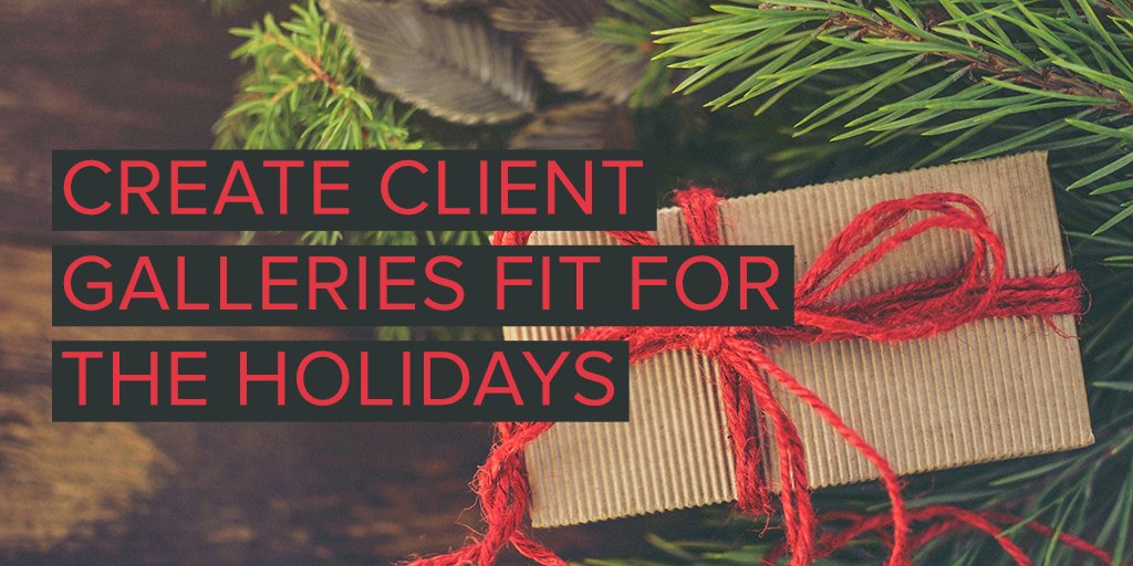 Right Now on Zenfolio Live - Give your Client Galleries some Holiday Cheer and Grab a Free Custom Theme!
Thursday 11am Pacific / 2pm Eastern
youtube.com/zenfolio/live