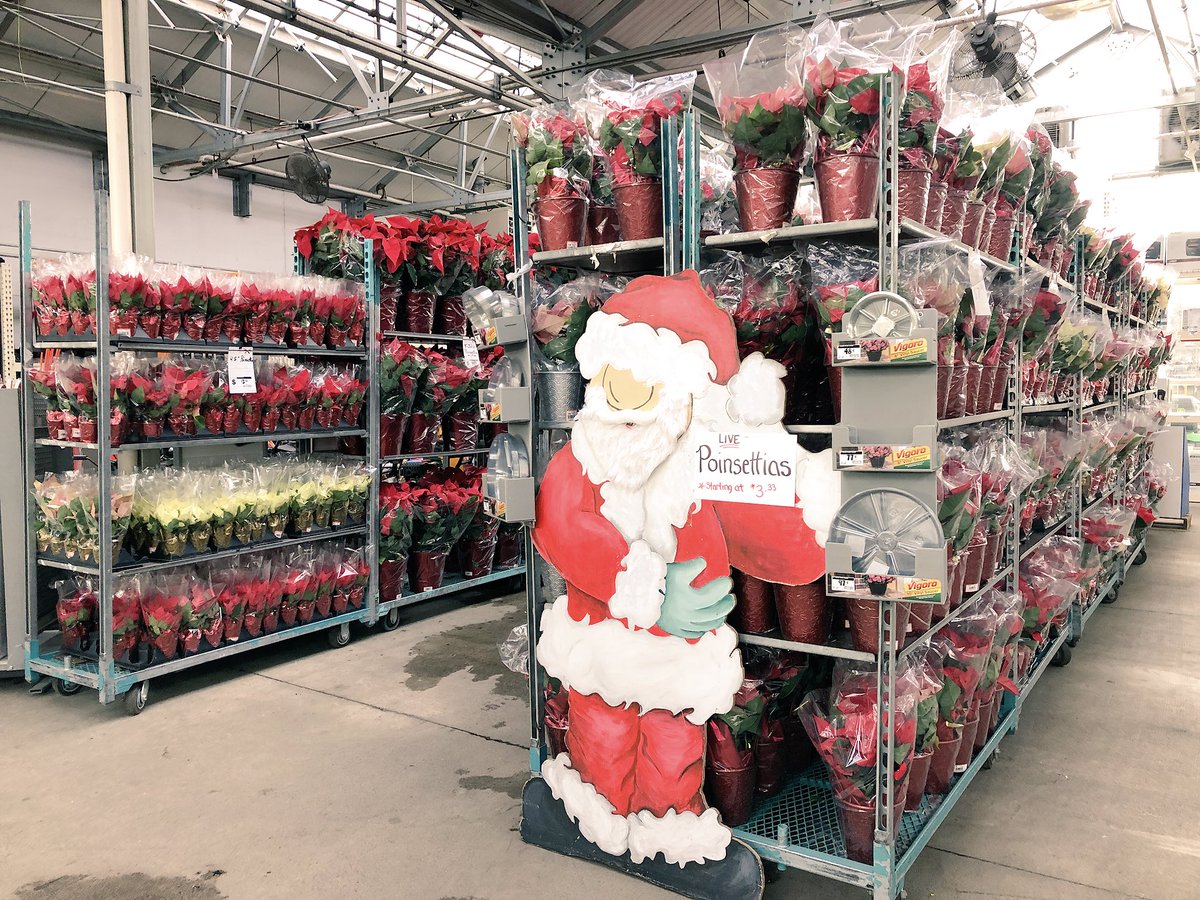 AmillerBell's tweet photo. What a wonderful presentation of live goods here in 4110! Great job Betsy! @D_Liberato1 https://t.co/IPwKrgxQB9